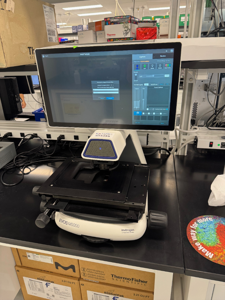 Image of Invitrogen EVOS M5000 Imaging System